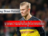 Erling-Braut-Haland_head